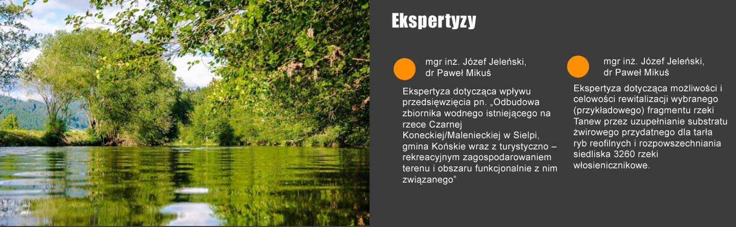 ekspertyzy1